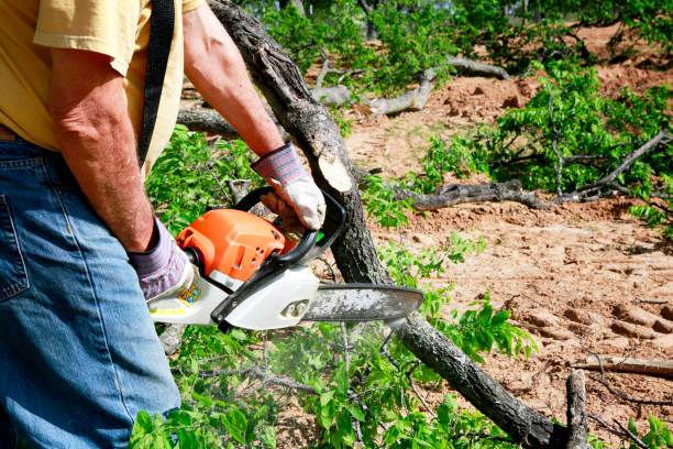 Best Commercial Tree Services  in Sparta, GA